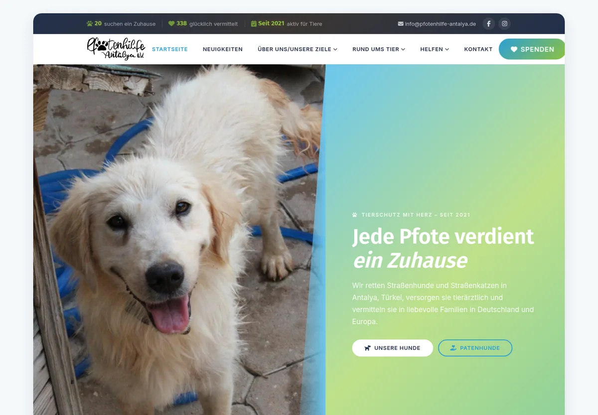 Startseite von Pfotenhilfe Antalya mit Hundefoto und Spendenaufruf
